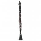 B Flat BLACK Clarinet with Carrying Case