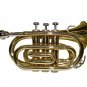 WD480 B Flat Gold Pocket Trumpet with Case