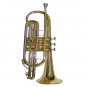 MERANO Professional Bb Gold Cornet with Case