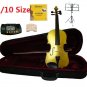 Rugeri 1/10 Size Gold Violin+Case+Bow+2 Sets String,2 Bridges,Rosin,Metro Tuner,Music Stand