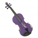 Rugeri MV400PR 4/4 Size Solid Wood Ebony Fitted Violin with Case and Bow ~ PURPLE