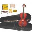 4/4 Size Solidwood Violin,Boxwood Parts,Case,Bow+2 Sets Strings+2 Bridges+Rosin+Tuner+Shoulder Rest