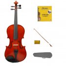 4/4 Size Acoustic Violin,Case,Bow+Rosin+2 Sets of Strings