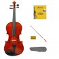 1/10 Size Acoustic Violin,Case,Bow+Rosin+2 Sets of Strings