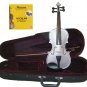 1/10 Size Silver Acoustic Violin,Case,Bow+Rosin+2 Sets of Strings