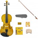 Merano 1/10 Size Gold Acoustic Violin,Case,Bow+Rosin+2 Sets of Strings+2 Bridges+Pitch Pipe