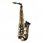 E Flat Black / Gold Alto Saxophone with Case