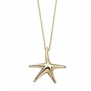 Starfish Necklace