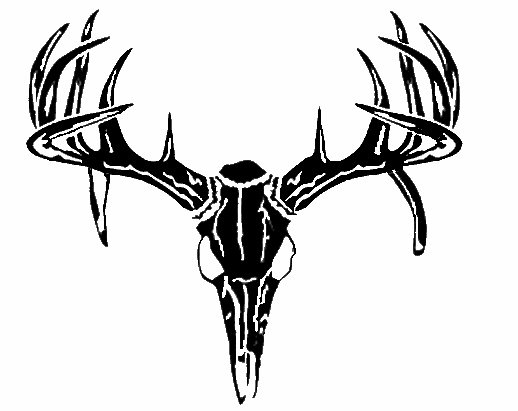 BUCK SKULL DEER TROPHY HUNTING VINYL DECALS STICKERS