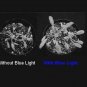 T8 HO FLUORESCENT GROW LIGHT replaces 400 w MH, T5 HPS