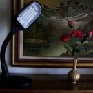 Full Spectrum / Daylight Reading or SAD Sun Light Lamp