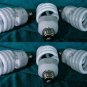 3 BLOOM & 3 GROW Compact Fluorescent LIGHT Bulbs 6 CFLs
