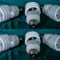 3 BLOOM & 3 GROW Compact Fluorescent LIGHT Bulbs 6 CFLs