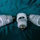 3- FULL SPECTRUM DAYLIGHT GROW/CFL FLUORESCENT BULBS