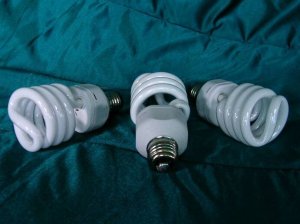 3- FULL SPECTRUM DAYLIGHT GROW/CFL FLUORESCENT BULBS