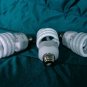 3- FULL SPECTRUM DAYLIGHT GROW/CFL FLUORESCENT BULBS