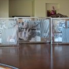 Collage Picture Frames