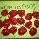 7 POD PEPPER 10+ SEEDS (A.K.A. 7 POT)   ~FREE SHIPPING~
