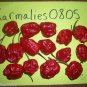 7 POD PEPPER 10+ SEEDS (A.K.A. 7 POT)   ~FREE SHIPPING~