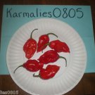 RED DEVIL'S TONGUE 20+ PEPPER SEEDS **Free Shipping**