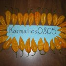 20+ DEVIL'S TONGUE PEPPER SEEDS