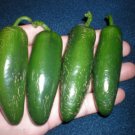 Grande Jalapeno 30 Seeds ***Huge and Hot*** Free S&H!!
