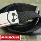 Molecule Fitted