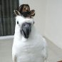 Cowboy Hat Parrot Bird Cockatiel cockatoo Parakeet Macaw Conure Birdlover