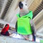 Hoodie  Cloths Dinosaur Parrot Bird Cockatiel cockatoo Paraket Macaw Conure