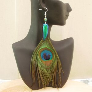 Long Sternocera and Peacock Feather Earrings