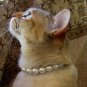 Cat Pearl Necklace with Safety Clasp