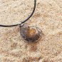 Natural Nautilus Ammonite Fossil Pendant Leather Necklace