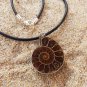 Natural Nautilus Ammonite Fossil Pendant Leather Necklace