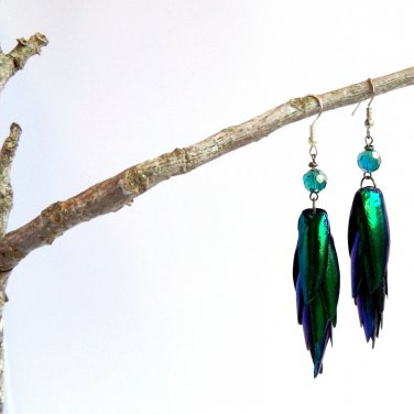 Iridescent Natural Elytra Sternocera Jewel Beetle Wing Earrings #a