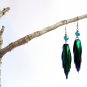 Iridescent Natural Elytra Sternocera Jewel Beetle Wing Earrings #a