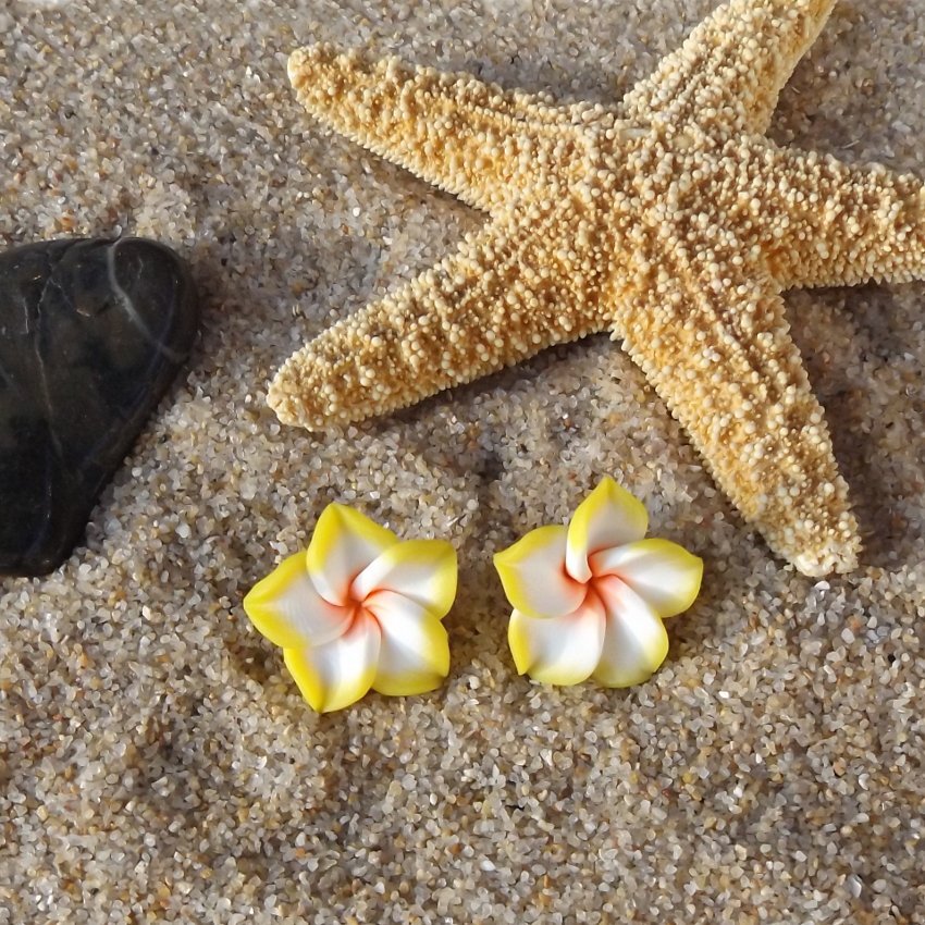 Yellow Tropical Plumeria Frangipani Flower Stud Earrings