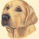 Dog Ornaments over 30 Choices