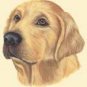 Dog Ornaments over 30 Choices