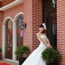 Luxurious Ivory Strapless Train Ball Gown Wedding Dress D60420