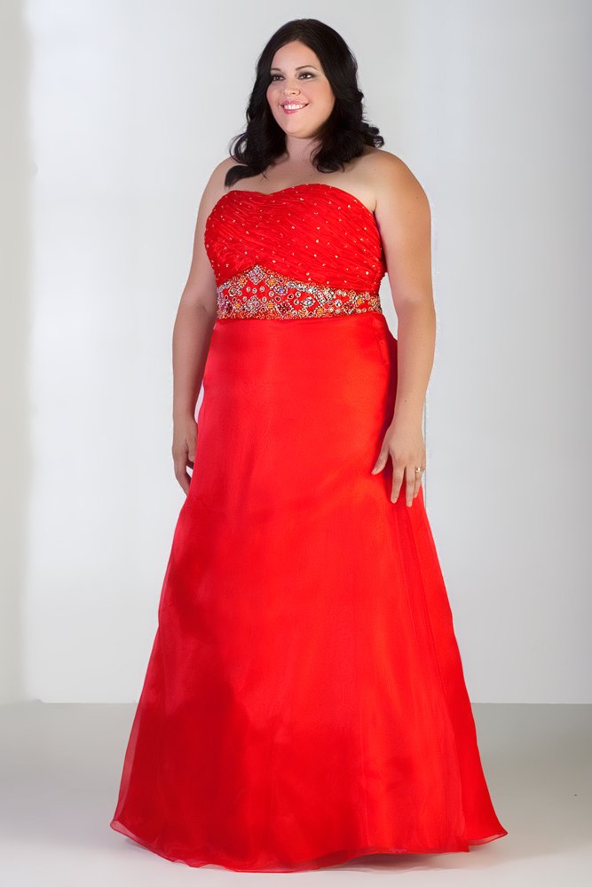 Plus Size Evening Formal Special Occasion Pageant Prom Homecoming Gown ...