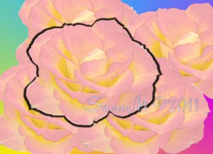 Charc Past, 8 x 10 Print, Abstratct Fine Art Image Photo Digital, flower floral Rose Flame