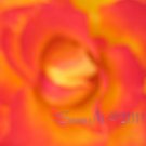 Charc, 5 x 7 Print, Abstratct Fine Art Image Photo Digital, flower floral Rose Flame