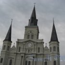 NO 2, 5x7 Print - Fine Art Image Photo Digital, new orleans bourbon st architecture tree courtyard