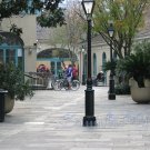 NO 11, 5x7 Print - Fine Art Image Photo Digital, new orleans bourbon st architecture tree courtyard