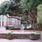 NO 22, 5x7 Print - Fine Art Image Photo Digital, new orleans bourbon st architecture tree courtyard