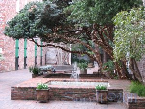 NO 22, 8x10 Print - Fine Art Image Photo Digital, new orleans bourbon st architecture tree courtyard