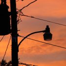 August 28 - 8x10 Print, Digital Fine Art Image Photo - Sunset, summer, fall, Power lines, Clouds