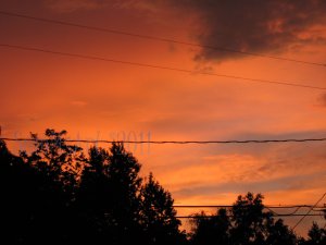 August 31 - 8x10 Print, Digital Fine Art Image Photo - Sunset, summer, fall, Power lines, Clouds