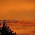 August 12 - 8x10 Print, Digital Fine Art Image Photo - Sunset, summer, fall, Power lines, Clouds