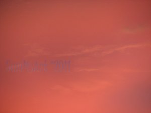 August 37 - 8x10 Print, Digital Fine Art Image Photo - Sunset, summer, fall, Power lines, Clouds